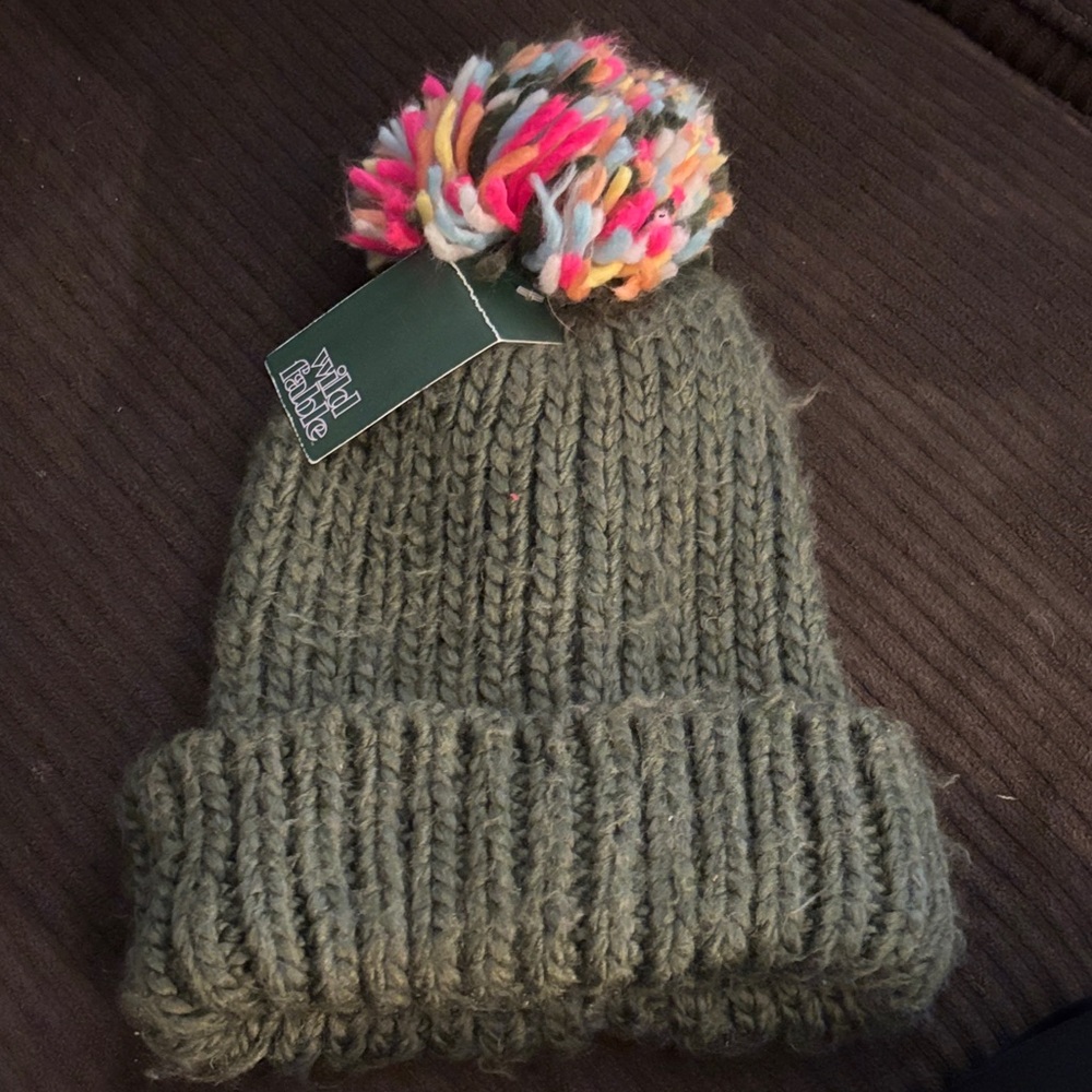 Wild Fable Olive Knit Beanie with Colorful Pom-Pom